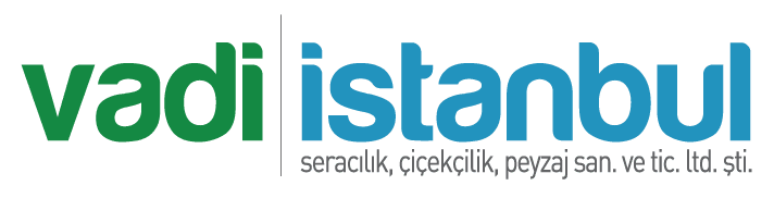 Vadi Sera Çiçekçilik